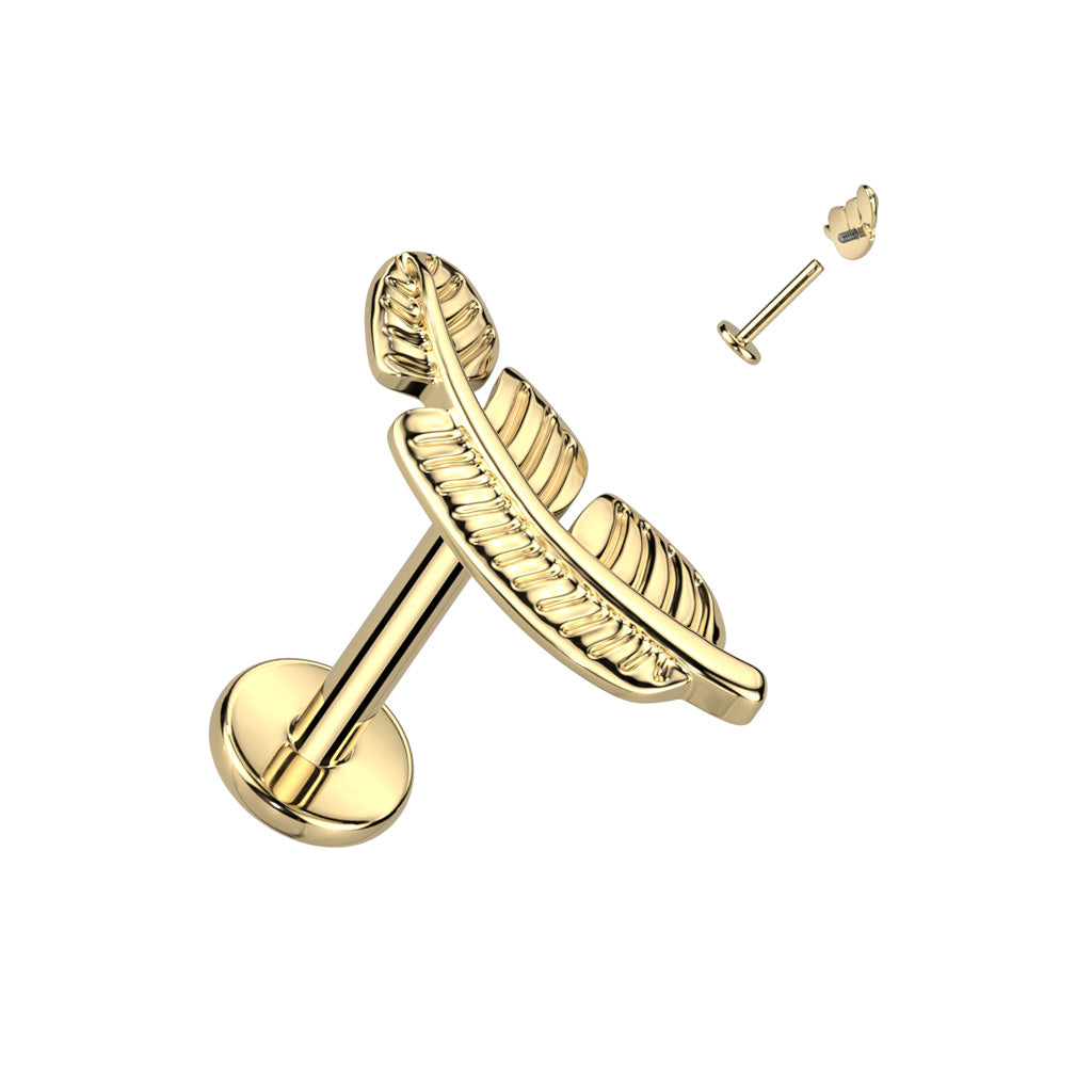 Piercing Exclusivo Titanio Grado Implante 3mm 16GA