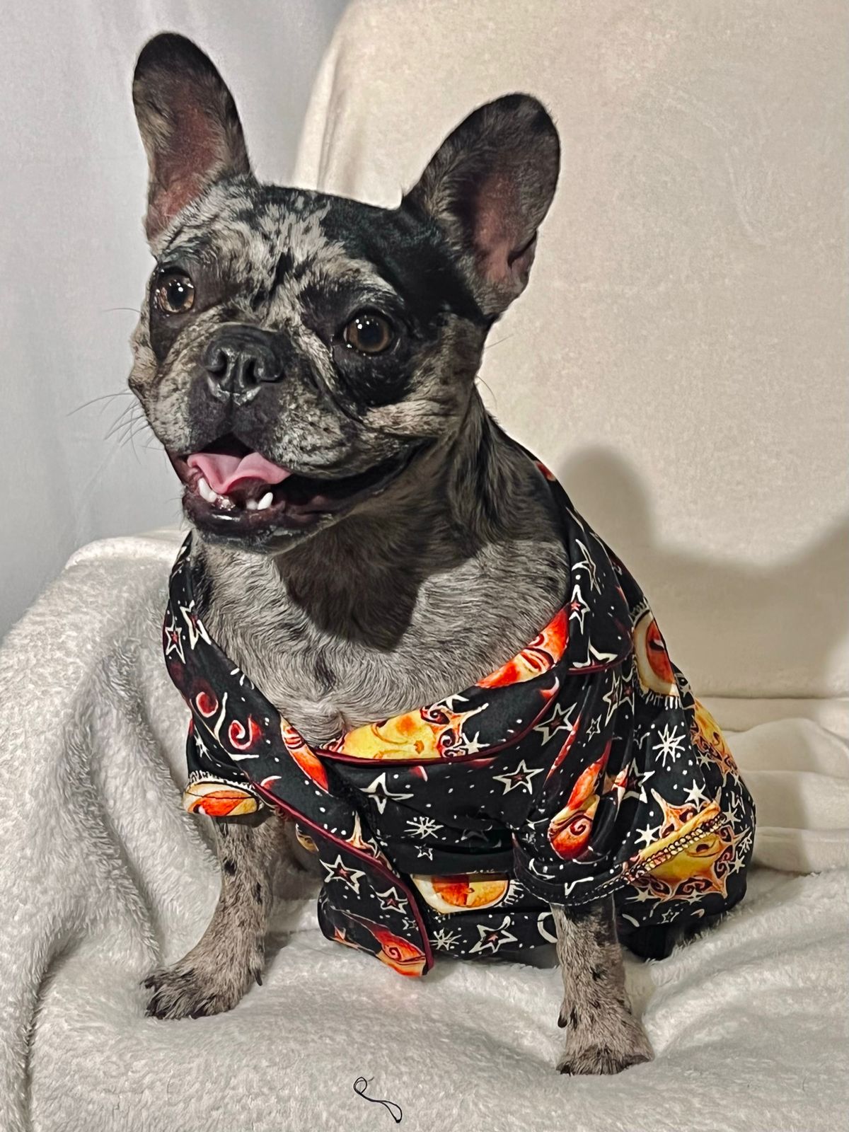 Galaxia - Pijama Perro XXs - 1