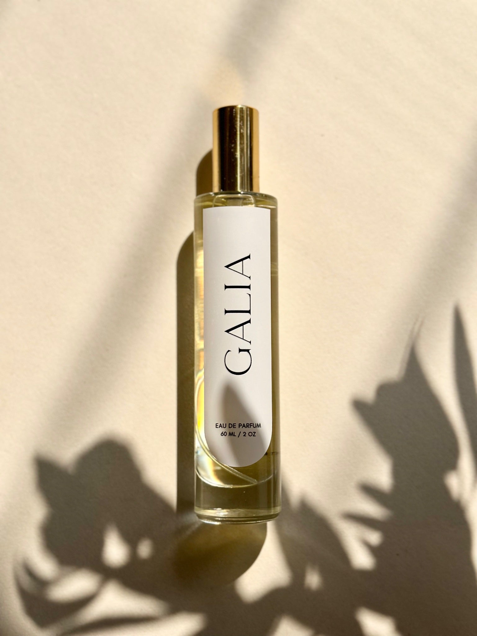 SANTAL 33 - 1