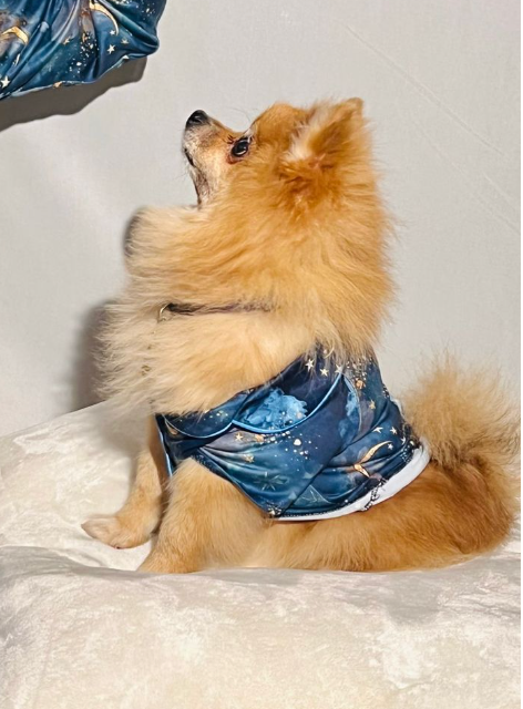 Luna Nueva - PIjama Perro XXS - 1